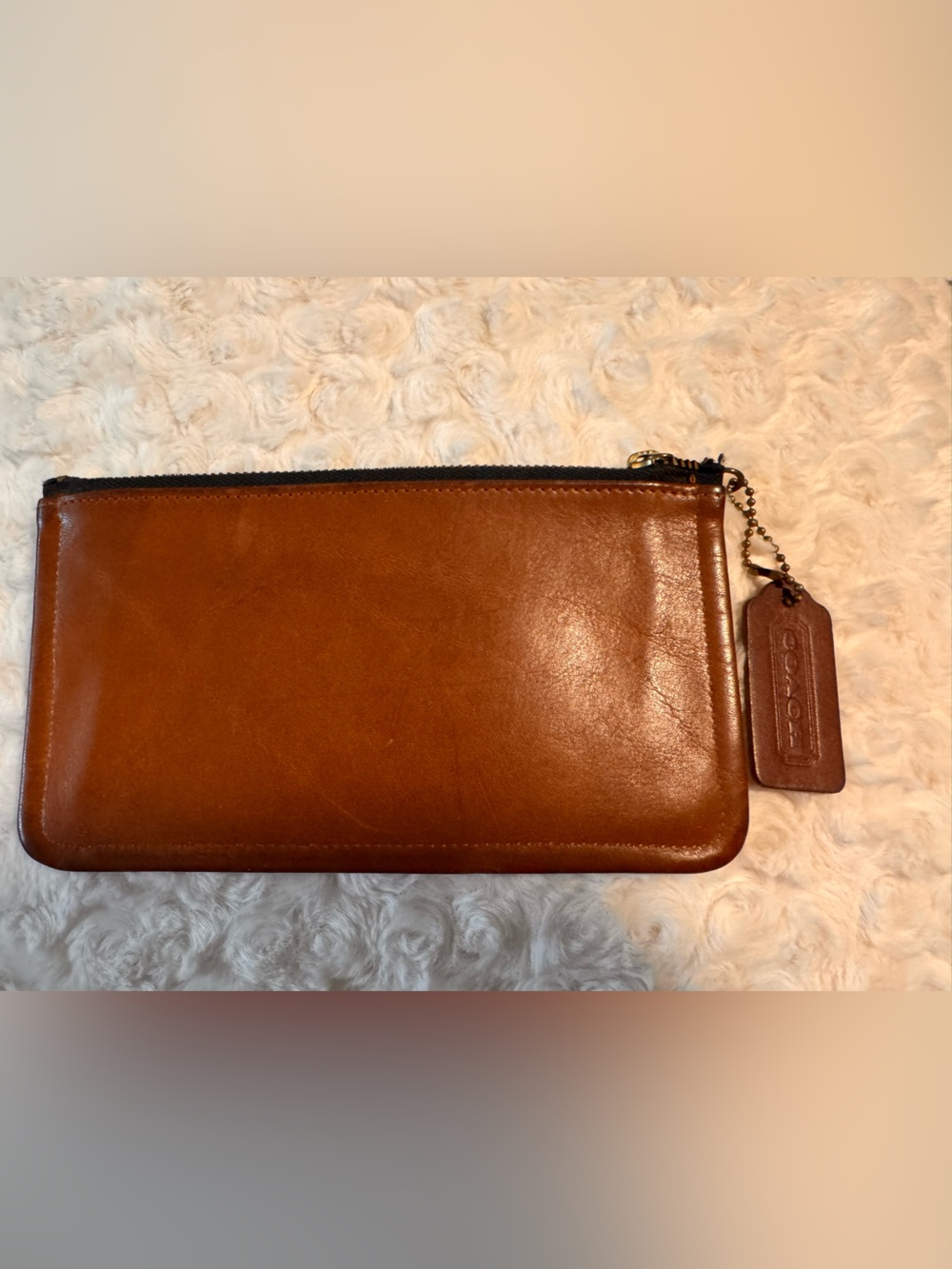 Vintage 7170 Coach Skinny case